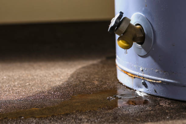Best Flooded house restoration  in Norwalk, CA