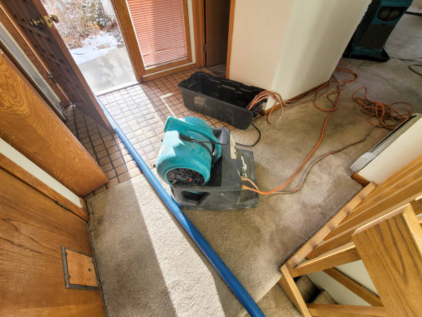 Best Basement water damage restoration  in Norwalk, CA