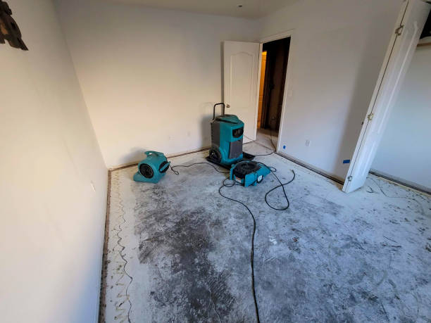 Best 24/7 water damage repair  in Norwalk, CA