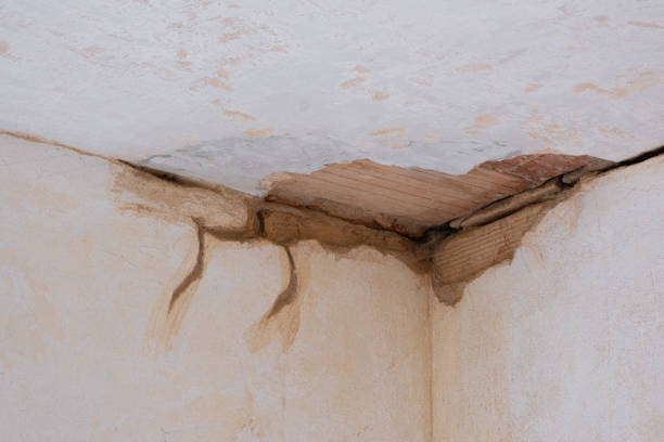  Norwalk, CA Water damage restoration Pros