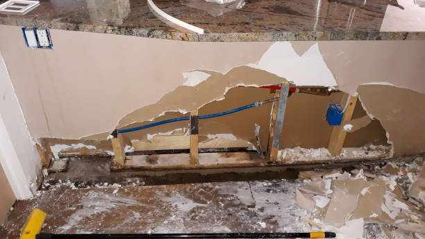 Best Professional water damage repair  in Norwalk, CA