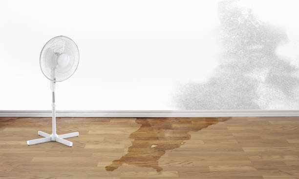 Best Residential water damage restoration  in Norwalk, CA