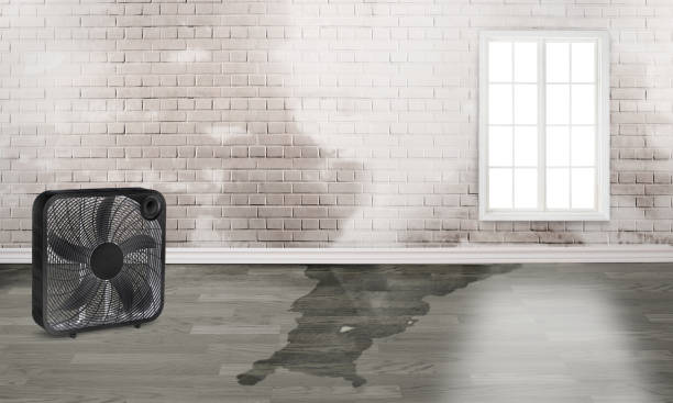 Best Water damage restoration experts  in Norwalk, CA