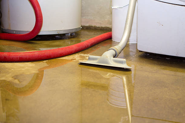 Best Commercial water damage restoration  in Norwalk, CA