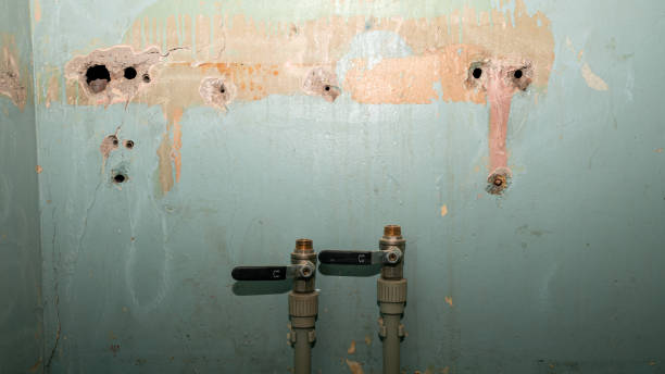 Best Mold removal after water damage  in Norwalk, CA
