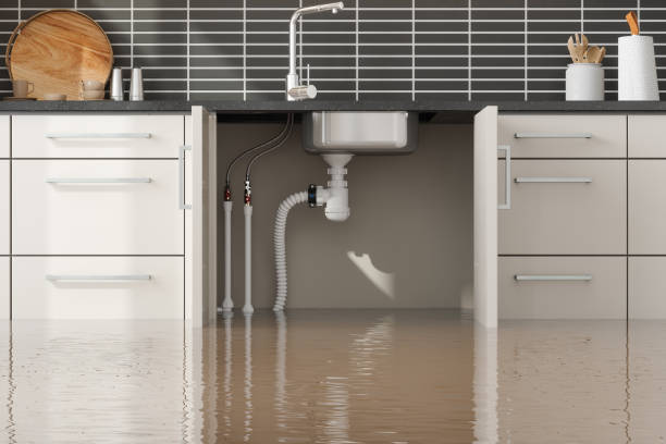 Best 24-hour water damage restoration  in Norwalk, CA