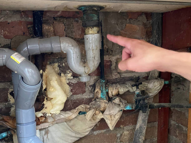 Best Water damage restoration near me  in Norwalk, CA