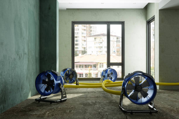 Best Mold removal after water damage  in Norwalk, CA