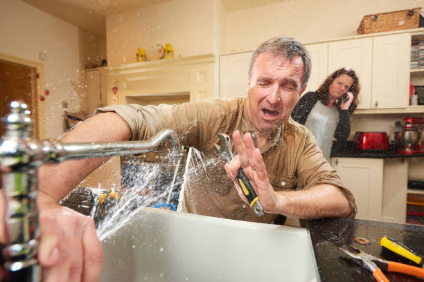Best Water damage mitigation services  in Norwalk, CA